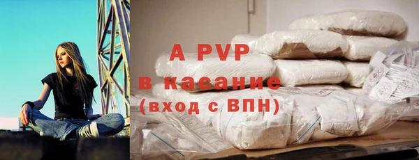 стаф Алексин