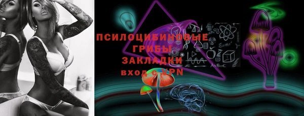 шишки Алексеевка