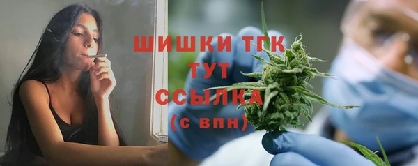 стаф Алексин