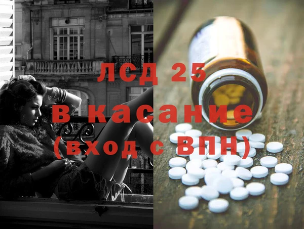 крисы Алзамай