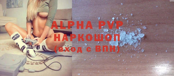стаф Алексин