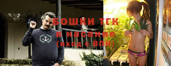 шишки Алексеевка