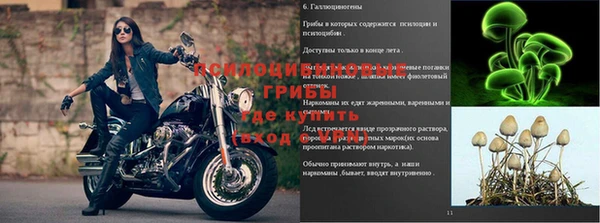 стаф Алексин
