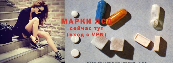стаф Алексин