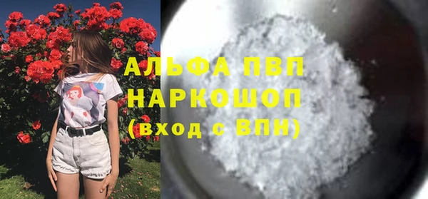 стаф Алексин