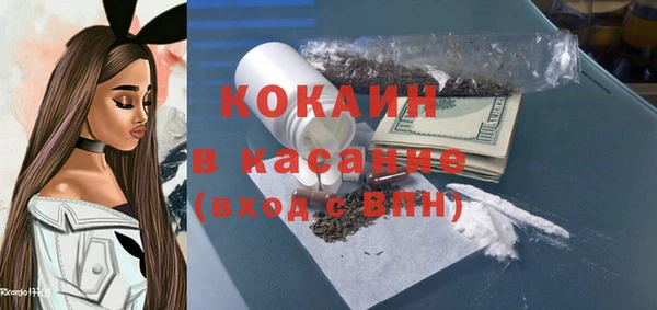 шишки Алексеевка