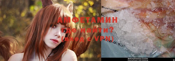 стаф Алексин