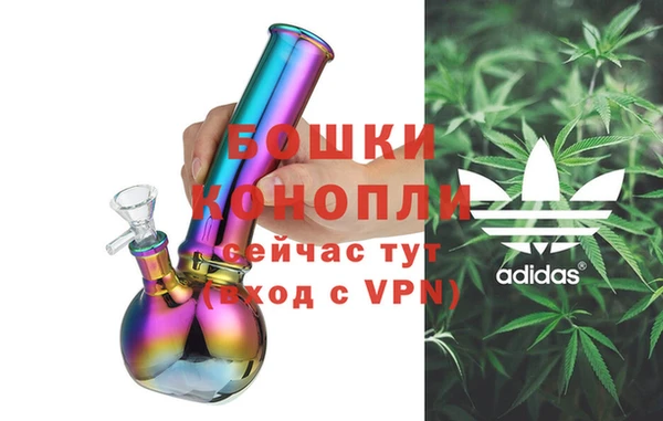 шишки Алексеевка