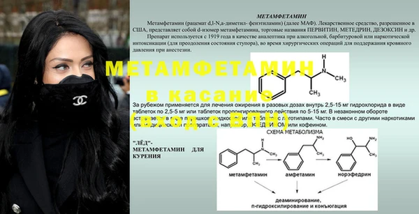 крисы Алзамай