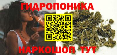 сатива Малгобек