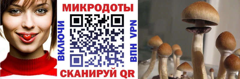 Псилоцибиновые грибы MAGIC MUSHROOMS  как найти закладки  Джанкой 